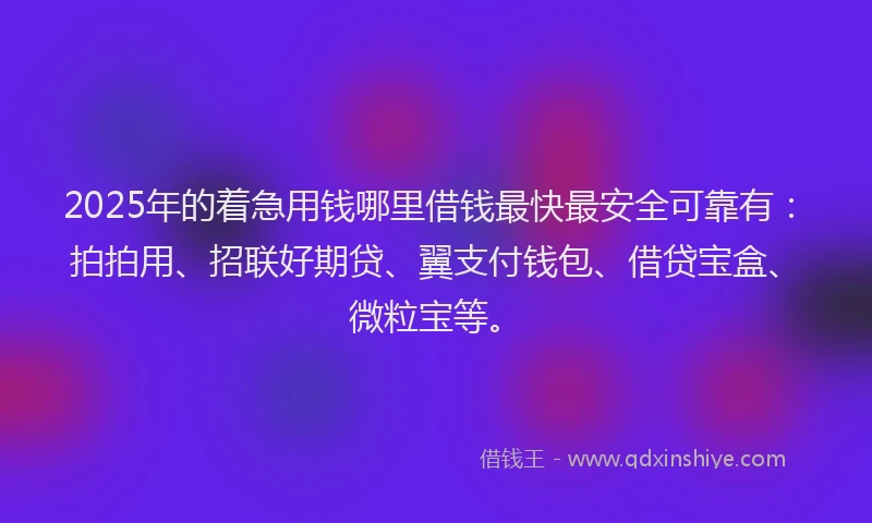 2025年的着急用钱哪里借钱最快最安全可靠有：拍拍用、招联好期贷、翼支付钱包、借贷宝盒、微粒宝等。