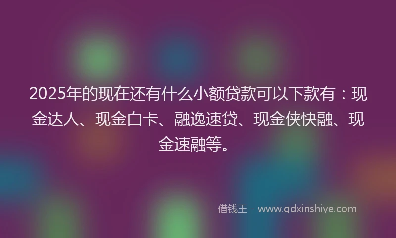 2025年的现在还有什么小额贷款可以下款有：现金达人、现金白卡、融逸速贷、现金侠快融、现金速融等。