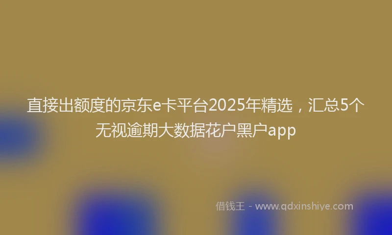 直接出额度的京东e卡平台2025年精选，汇总5个无视逾期大数据花户黑户app