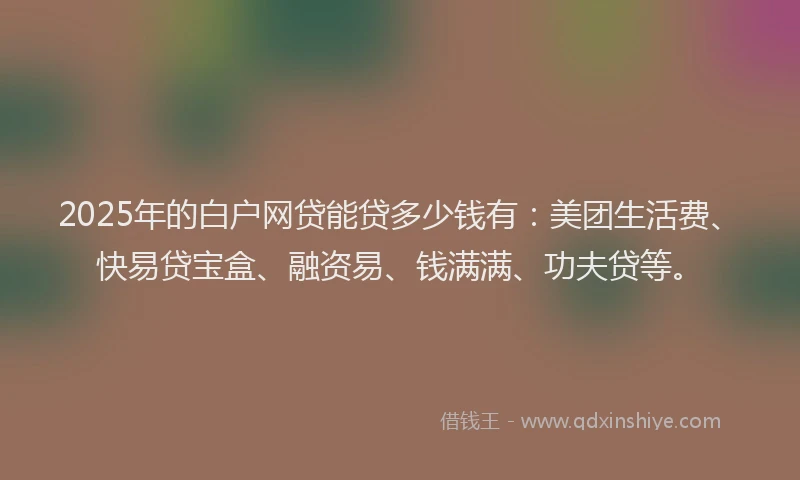 2025年的白户网贷能贷多少钱有：美团生活费、快易贷宝盒、融资易、钱满满、功夫贷等。
