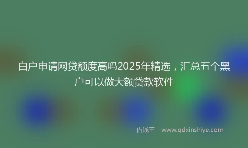白户申请网贷额度高吗2025年精选，汇总五个黑户可以做大额贷款软件