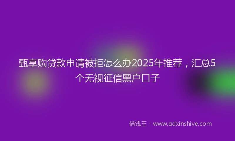 甄享购贷款申请被拒怎么办2025年推荐，汇总5个无视征信黑户口子