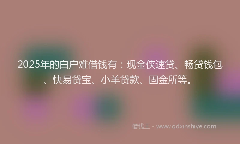 2025年的白户难借钱有：现金侠速贷、畅贷钱包、快易贷宝、小羊贷款、固金所等。