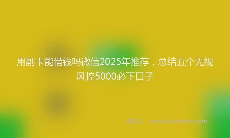 用副卡能借钱吗微信2025年推荐，总结五个无视风控5000必下口子