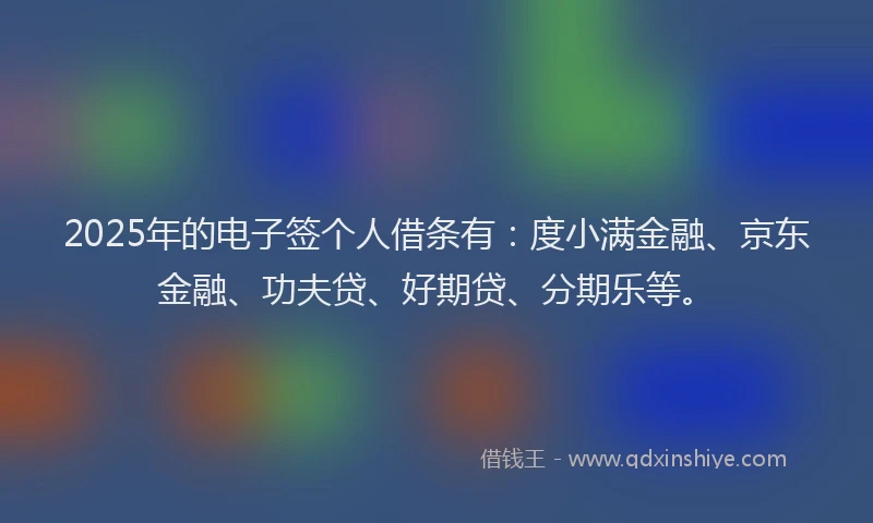 2025年的电子签个人借条有：度小满金融、京东金融、功夫贷、好期贷、分期乐等。