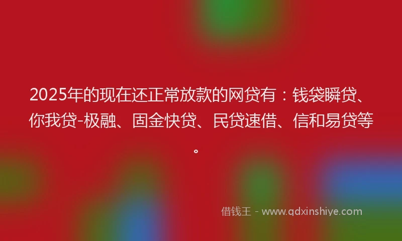 2025年的现在还正常放款的网贷有：钱袋瞬贷、你我贷-极融、固金快贷、民贷速借、信和易贷等。