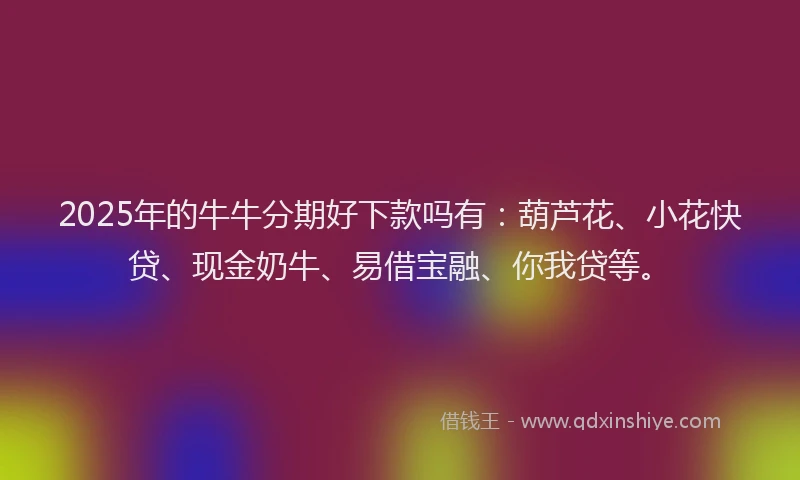 2025年的牛牛分期好下款吗有：葫芦花、小花快贷、现金奶牛、易借宝融、你我贷等。