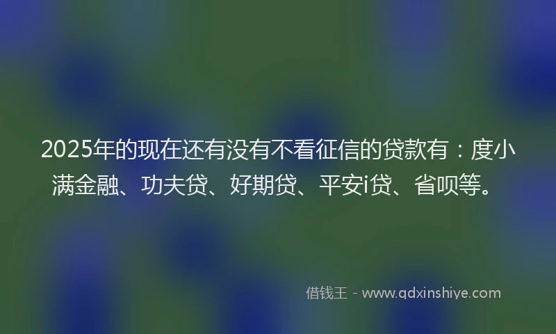 2025年的现在还有没有不看征信的贷款有：度小满金融、功夫贷、好期贷、平安i贷、省呗等。