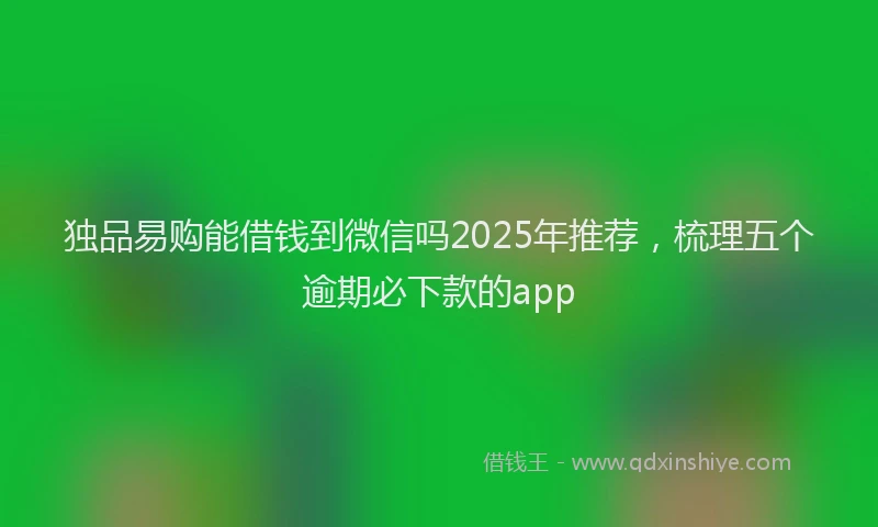 独品易购能借钱到微信吗2025年推荐，梳理五个逾期必下款的app