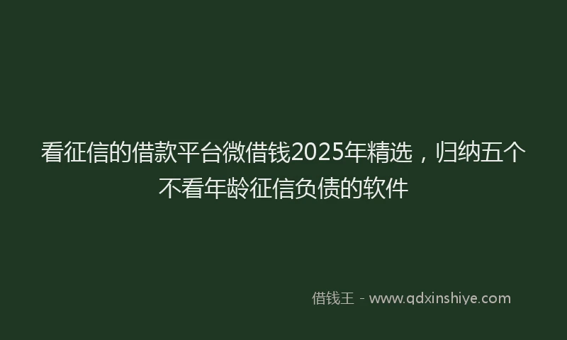 看征信的借款平台微借钱2025年精选，归纳五个不看年龄征信负债的软件