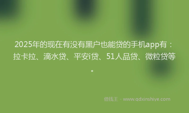 2025年的现在有没有黑户也能贷的手机app有：拉卡拉、滴水贷、平安i贷、51人品贷、微粒贷等。