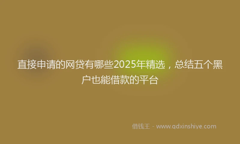 直接申请的网贷有哪些2025年精选，总结五个黑户也能借款的平台