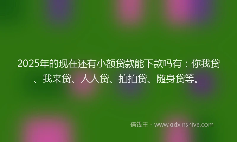 2025年的现在还有小额贷款能下款吗有：你我贷、我来贷、人人贷、拍拍贷、随身贷等。
