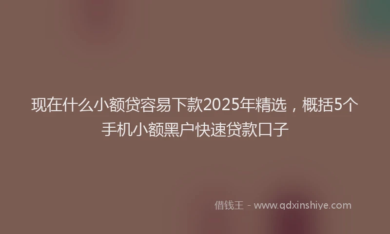 现在什么小额贷容易下款2025年精选，概括5个手机小额黑户快速贷款口子