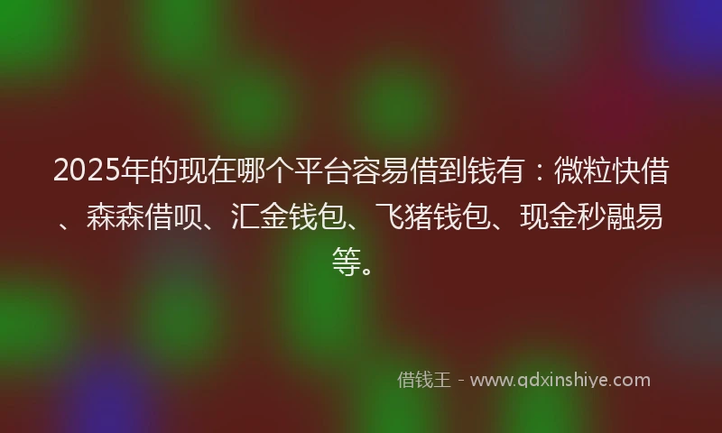 2025年的现在哪个平台容易借到钱有：微粒快借、森森借呗、汇金钱包、飞猪钱包、现金秒融易等。