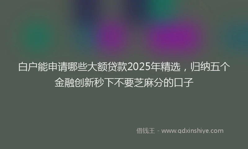 白户能申请哪些大额贷款2025年精选，归纳五个金融创新秒下不要芝麻分的口子