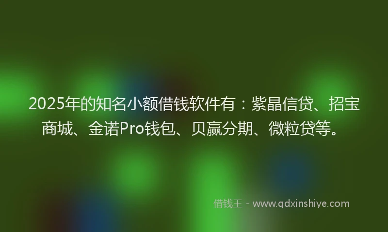 2025年的知名小额借钱软件有：紫晶信贷、招宝商城、金诺Pro钱包、贝赢分期、微粒贷等。
