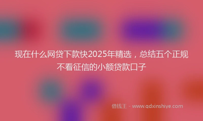 现在什么网贷下款快2025年精选，总结五个正规不看征信的小额贷款口子