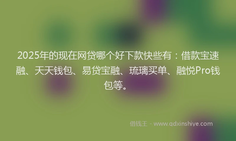 2025年的现在网贷哪个好下款快些有：借款宝速融、天天钱包、易贷宝融、琉璃买单、融悦Pro钱包等。