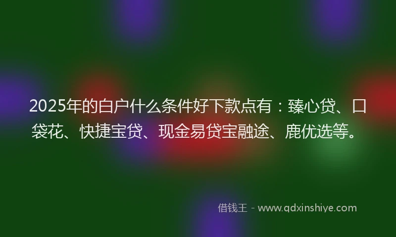 2025年的白户什么条件好下款点有：臻心贷、口袋花、快捷宝贷、现金易贷宝融途、鹿优选等。