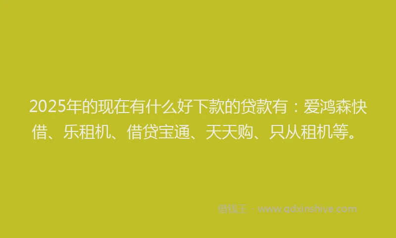 2025年的现在有什么好下款的贷款有：爱鸿森快借、乐租机、借贷宝通、天天购、只从租机等。
