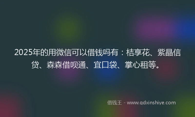 2025年的用微信可以借钱吗有：桔享花、紫晶信贷、森森借呗通、宜口袋、掌心租等。