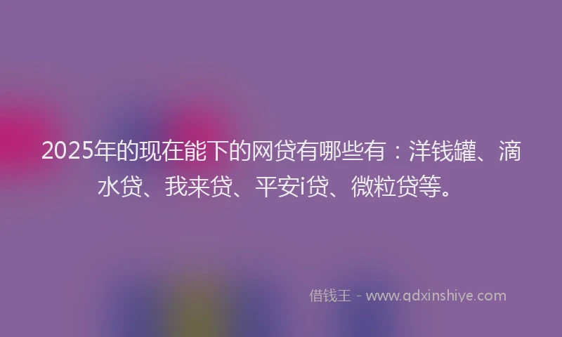 2025年的现在能下的网贷有哪些有：洋钱罐、滴水贷、我来贷、平安i贷、微粒贷等。