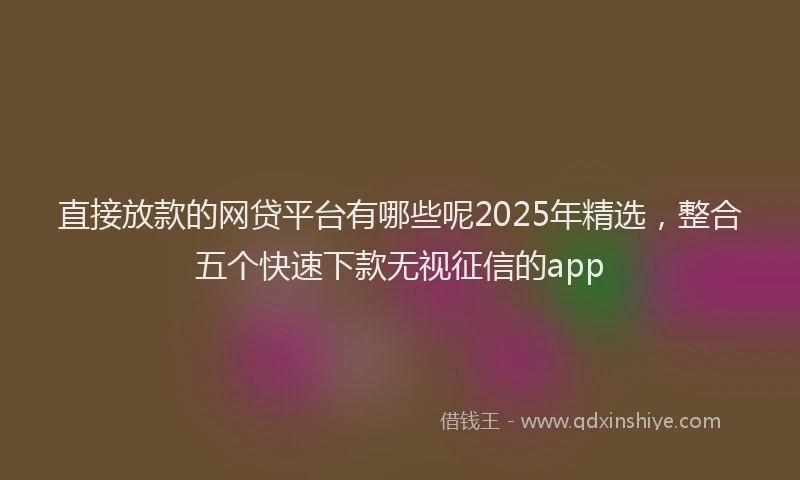 直接放款的网贷平台有哪些呢2025年精选，整合五个快速下款无视征信的app