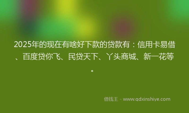 2025年的现在有啥好下款的贷款有：信用卡易借、百度贷你飞、民贷天下、丫头商城、新一花等。