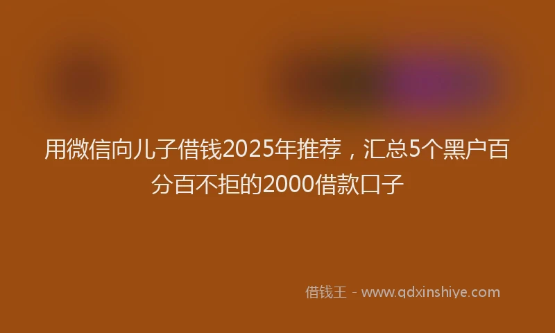 用微信向儿子借钱2025年推荐，汇总5个黑户百分百不拒的2000借款口子