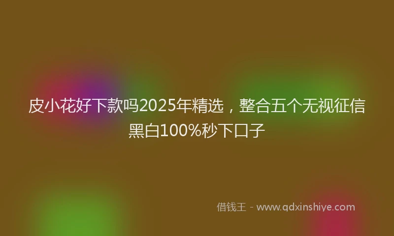 皮小花好下款吗2025年精选，整合五个无视征信黑白100%秒下口子
