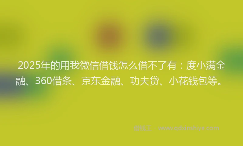 2025年的用我微信借钱怎么借不了有：度小满金融、360借条、京东金融、功夫贷、小花钱包等。