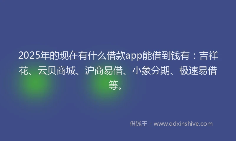 2025年的现在有什么借款app能借到钱有：吉祥花、云贝商城、沪商易借、小象分期、极速易借等。