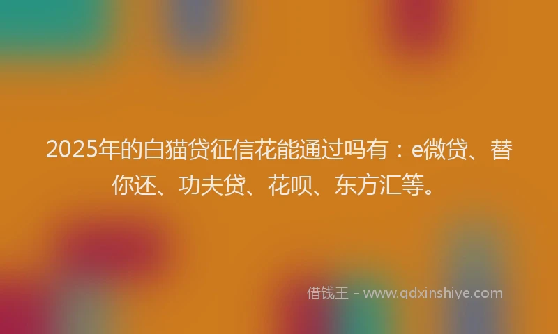 2025年的白猫贷征信花能通过吗有：e微贷、替你还、功夫贷、花呗、东方汇等。