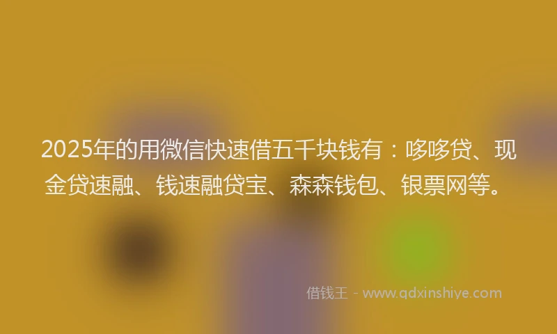 2025年的用微信快速借五千块钱有：哆哆贷、现金贷速融、钱速融贷宝、森森钱包、银票网等。
