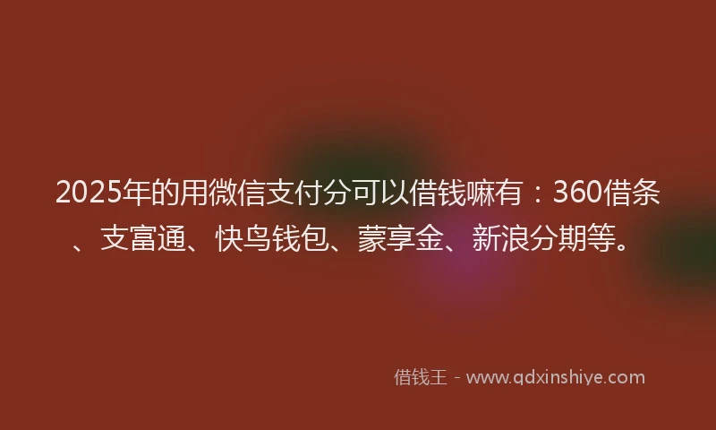 2025年的用微信支付分可以借钱嘛有：360借条、支富通、快鸟钱包、蒙享金、新浪分期等。