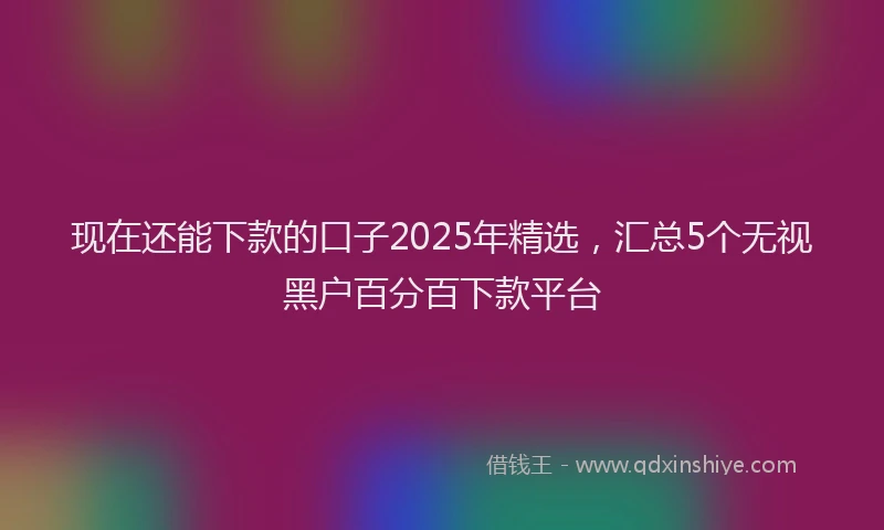现在还能下款的口子2025年精选，汇总5个无视黑户百分百下款平台