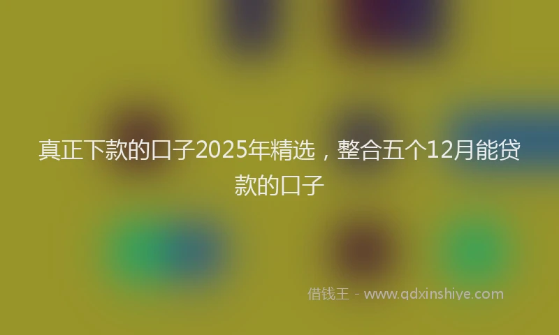真正下款的口子2025年精选，整合五个12月能贷款的口子