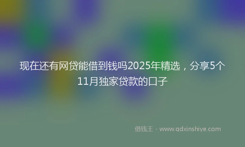 现在还有网贷能借到钱吗2025年精选，分享5个11月独家贷款的口子