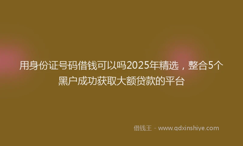 用身份证号码借钱可以吗2025年精选，整合5个黑户成功获取大额贷款的平台