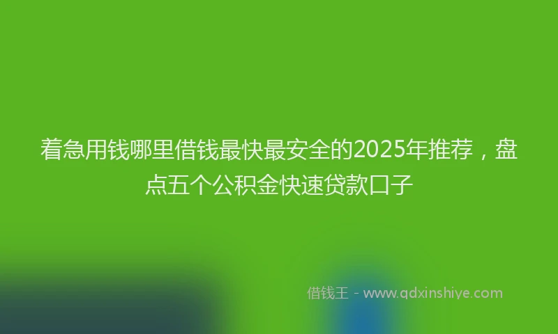 着急用钱哪里借钱最快最安全的2025年推荐，盘点五个公积金快速贷款口子