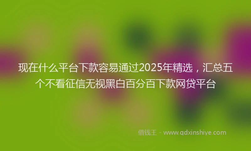 现在什么平台下款容易通过2025年精选，汇总五个不看征信无视黑白百分百下款网贷平台