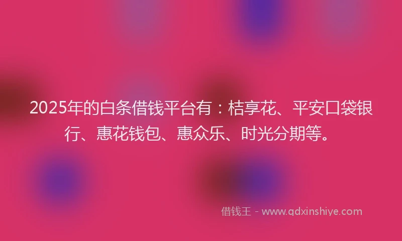 2025年的白条借钱平台有：桔享花、平安口袋银行、惠花钱包、惠众乐、时光分期等。