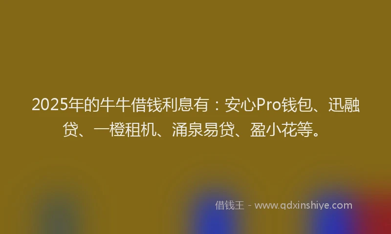2025年的牛牛借钱利息有：安心Pro钱包、迅融贷、一橙租机、涌泉易贷、盈小花等。