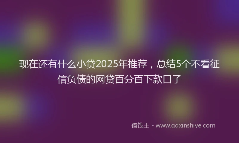 现在还有什么小贷2025年推荐，总结5个不看征信负债的网贷百分百下款口子
