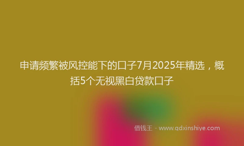 申请频繁被风控能下的口子7月2025年精选，概括5个无视黑白贷款口子