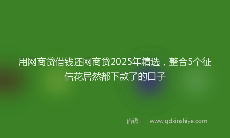 用网商贷借钱还网商贷2025年精选，整合5个征信花居然都下款了的口子