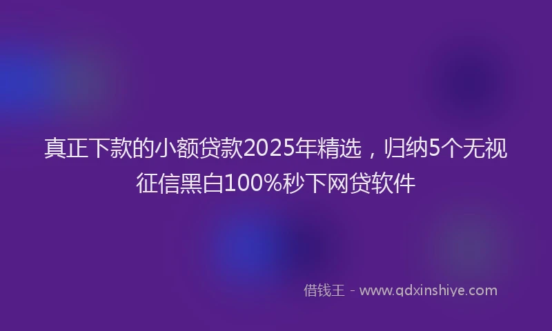 真正下款的小额贷款2025年精选，归纳5个无视征信黑白100%秒下网贷软件