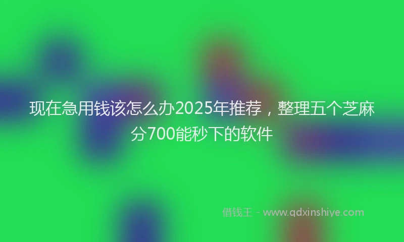 现在急用钱该怎么办2025年推荐，整理五个芝麻分700能秒下的软件