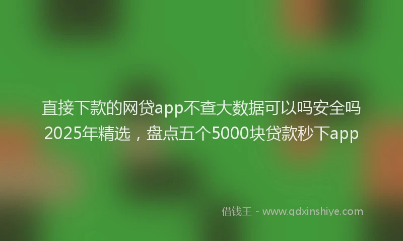 直接下款的网贷app不查大数据可以吗安全吗2025年精选，盘点五个5000块贷款秒下app